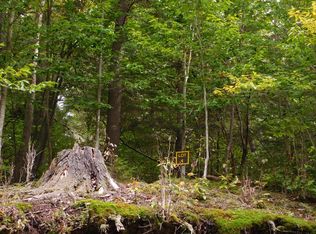 4 Gilbert Rd, Inlet, NY 13360