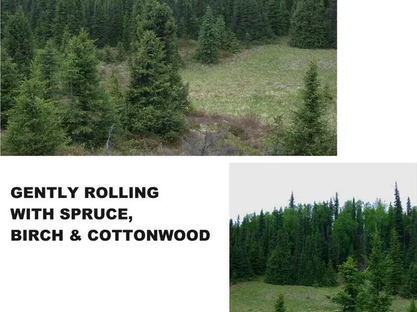 L2 B Rolling Hills Dr #1, Trapper Creek, AK 99683