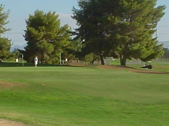 View out back of home