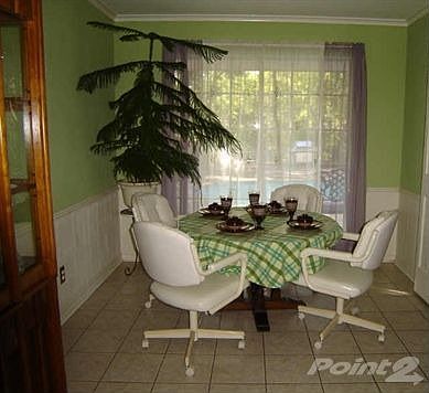3rd image of 1005 Valley Creek Dr