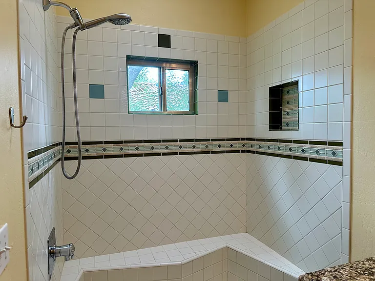 Primary bathroom shower