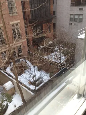 Rented by Continental Realty | media 6