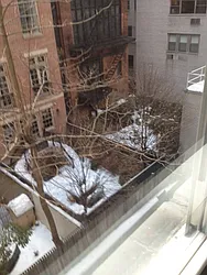 Rented by Continental Realty