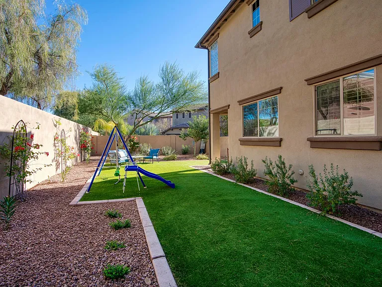 Back yard