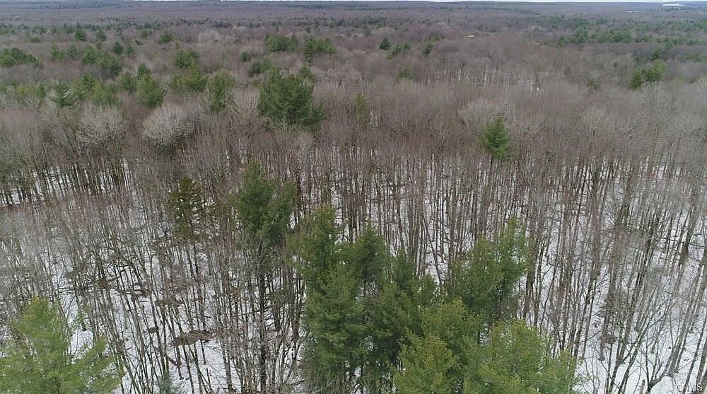 0 North Trl, Redfield, NY 13437 Zillow