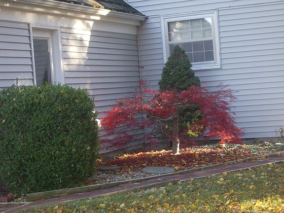4th image of 9700 Russell St