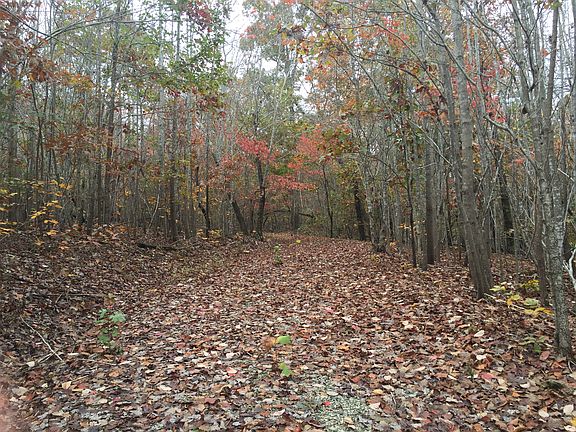 3rd image of 121 Little Doe Ln