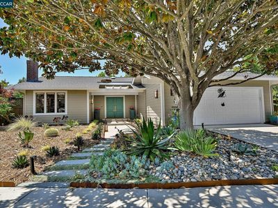 203 Berkshire Ct, Danville, CA, 94526