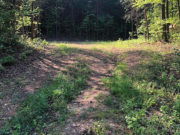 2nd image of 0 Chamberlain Rd