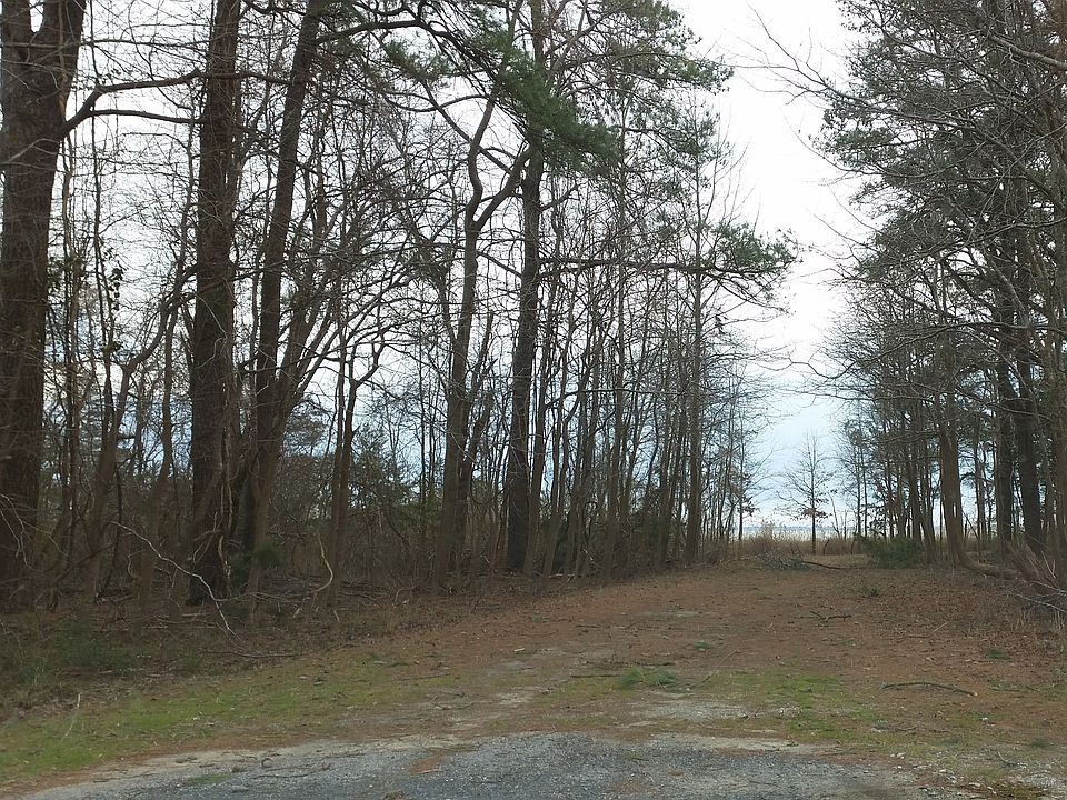 2nd image of 68 Octopus Road