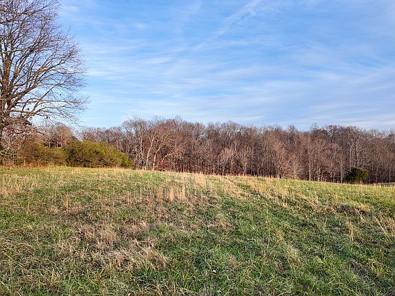 2nd image of 1087 Cowan Rd Lot 4