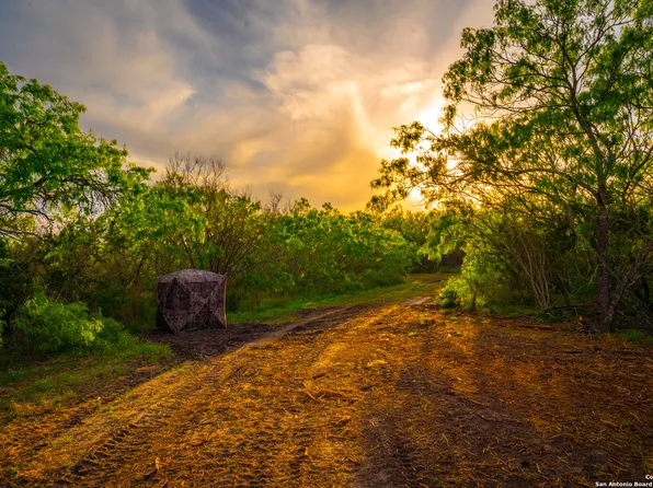 3373 CR 129, Kenedy, TX 78119