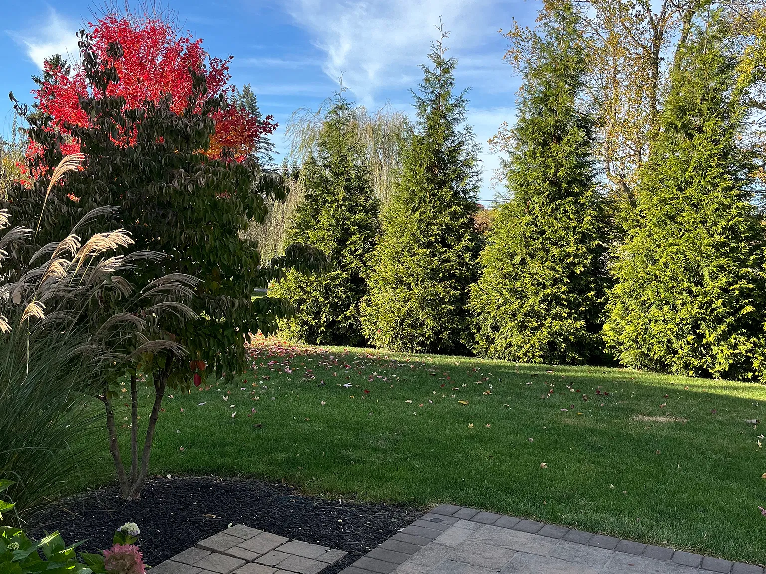 3 bed, 1.5 bath, 1300 sqft, $2,200 — Photo 3