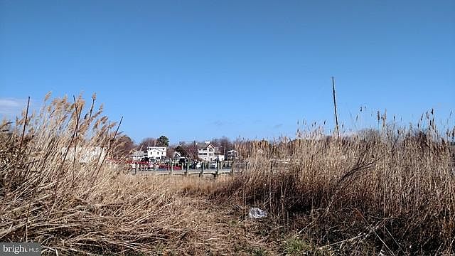 2nd image of Dogwood Cove Rd