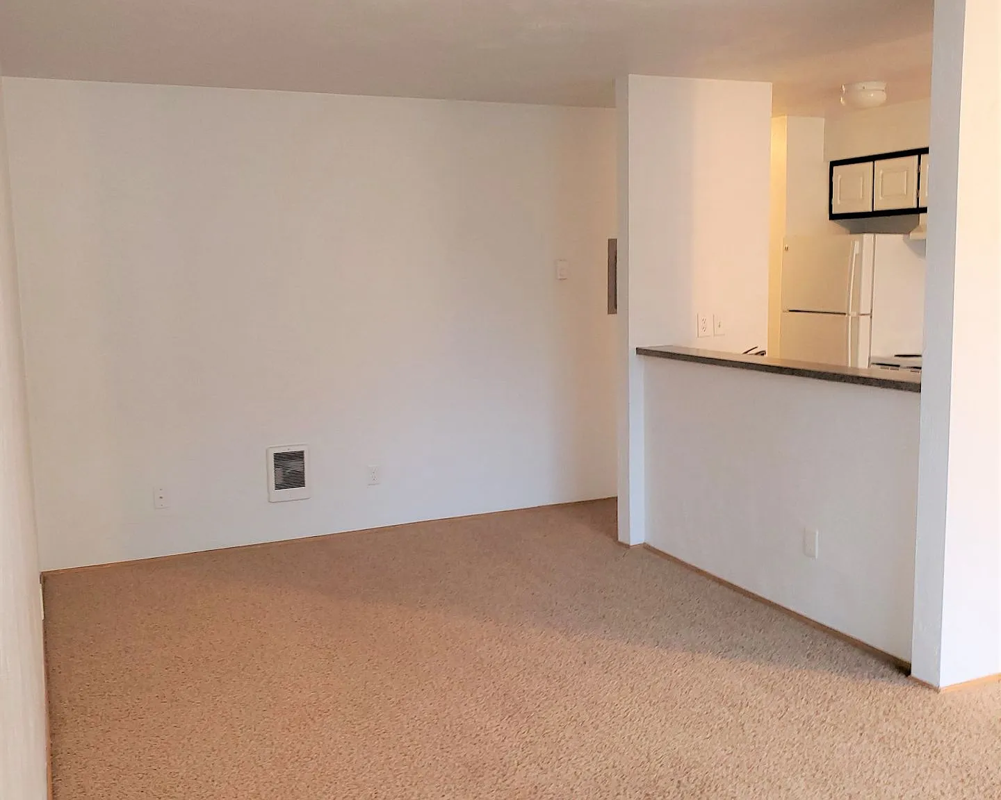 One Bedroom, One Bath - Special $1250.00 and Second Month Free! — Photo 4