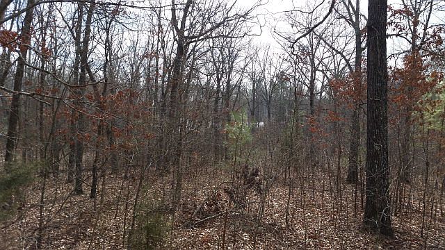 1st image of Riverdale Dr