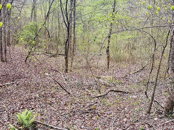4th image of 0 Woods Rd