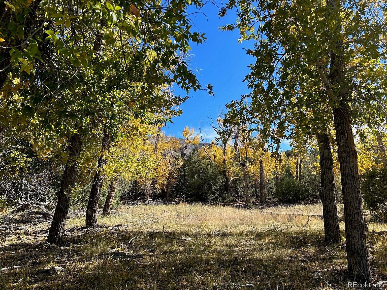 124 Indian Hill Road, Mosca, CO 81146 MLS 3725885 Zillow