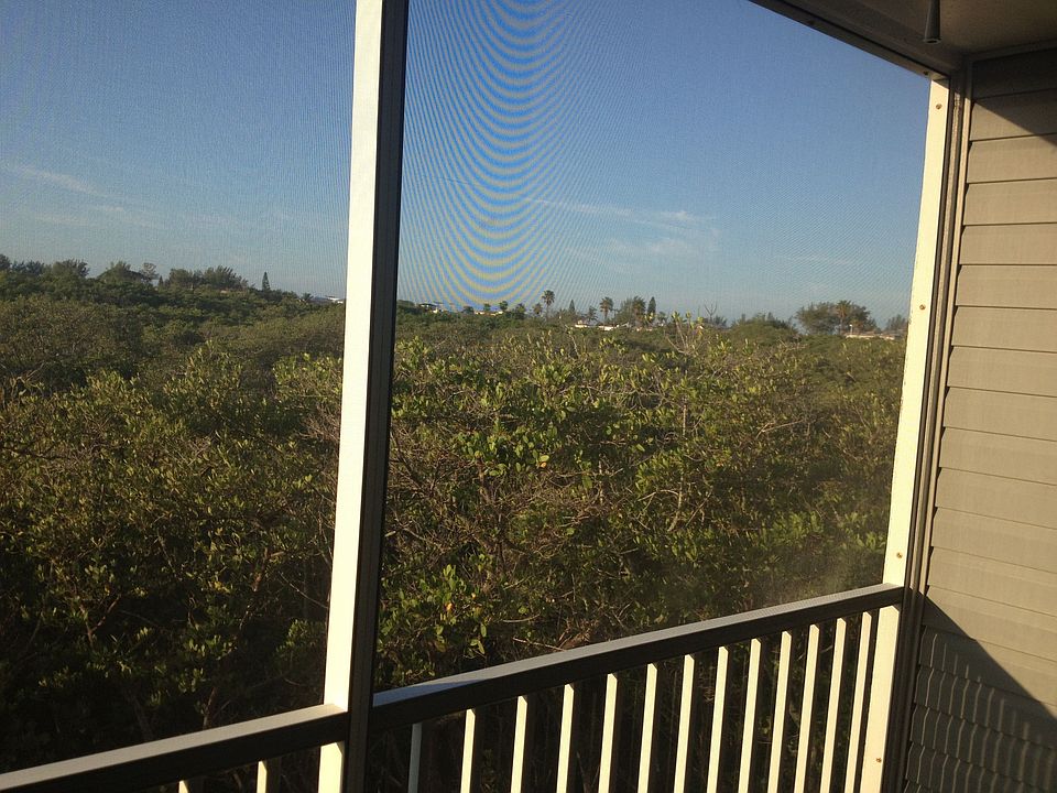View from lanai