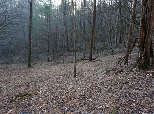 1260 Punkton Rd, Del Rio, TN 37727