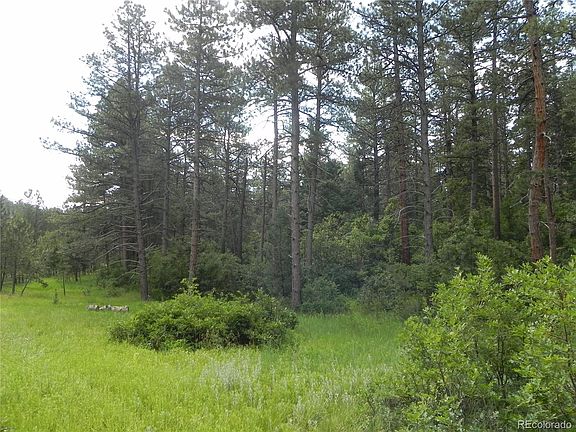 3rd image of 8448 Crow Place