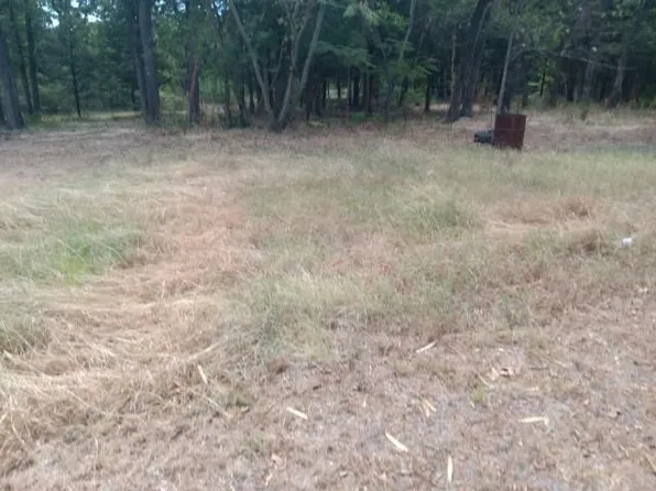 411 N 1st St, Crandall, TX 75114
