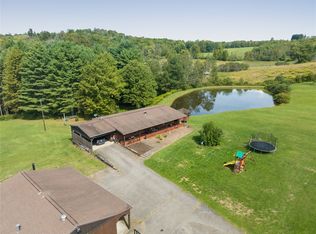 438 Honeypot Rd, Candor, NY 13743