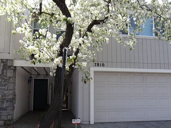 2nd image of 7816 Windsor Ln