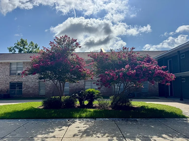 Spanish Oaks — Photo 6