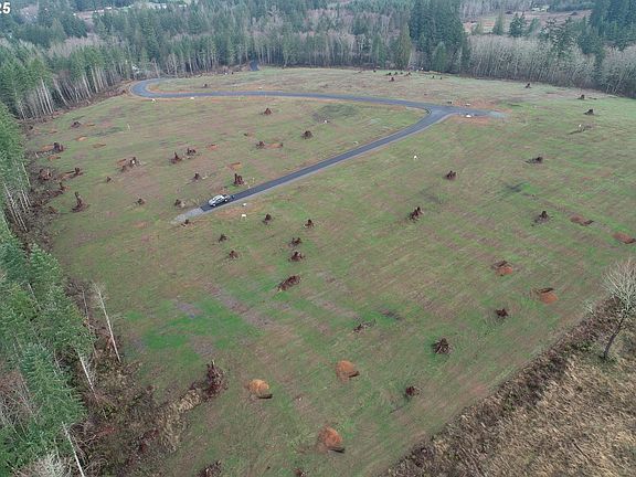 3rd image of 244 Ash Mountain Dr #1