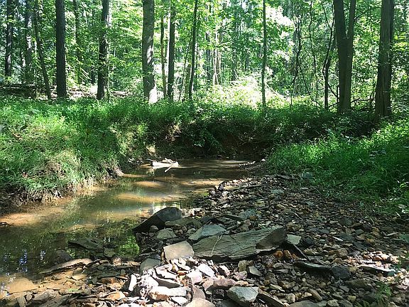 Frontage on A small stream