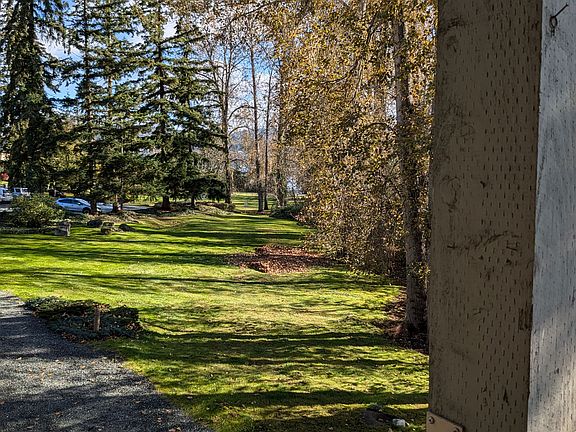View from Patio