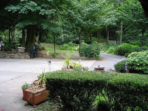 View from house