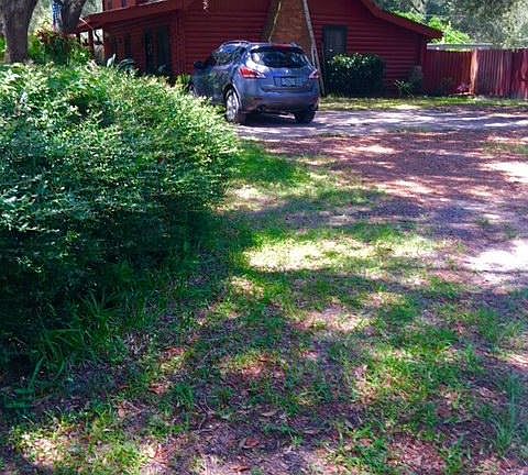 4th image of 110 Lynne Dr