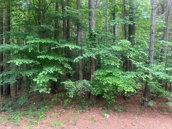 0 SE George Brock Rd, Dalton, GA 30721