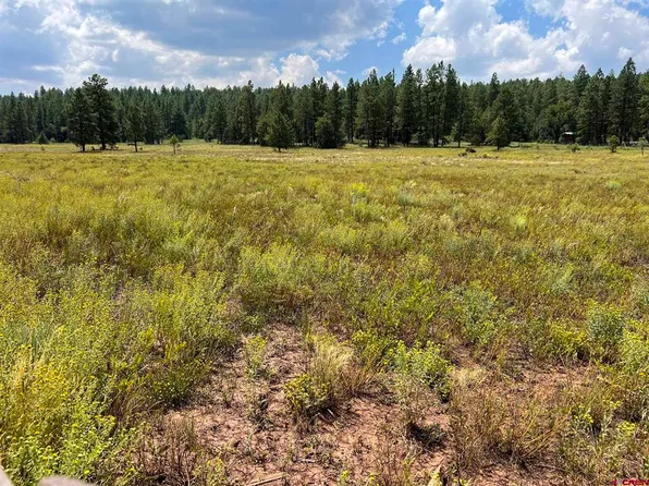 1026 Page Road, Ramah, NM 87316
