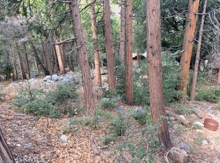 40904 Spruce Dr #172, Forest Falls, CA 92339