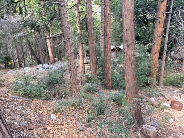 40904 Spruce Dr #172, Forest Falls, CA 92339