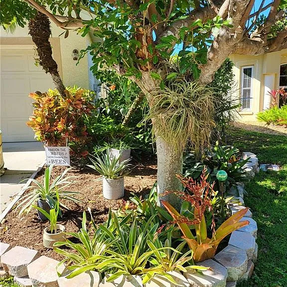 25925 Pebblecreek Dr — Photo 1