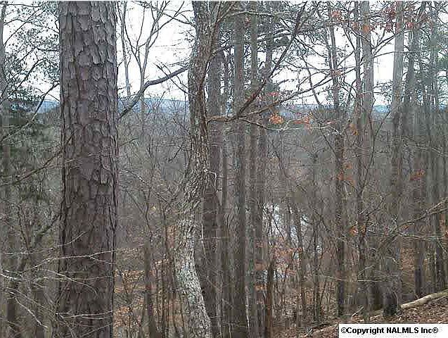 2nd image of 0 State Highway 68 E
