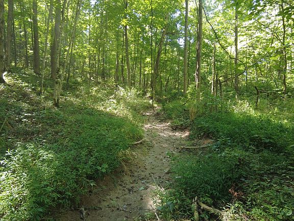 5th image of 16 Black Hollow Rd