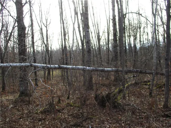 LOT #2 INDEPENDENCE (29 9/16 AVE) Avenue, Birchwood, WI 54817