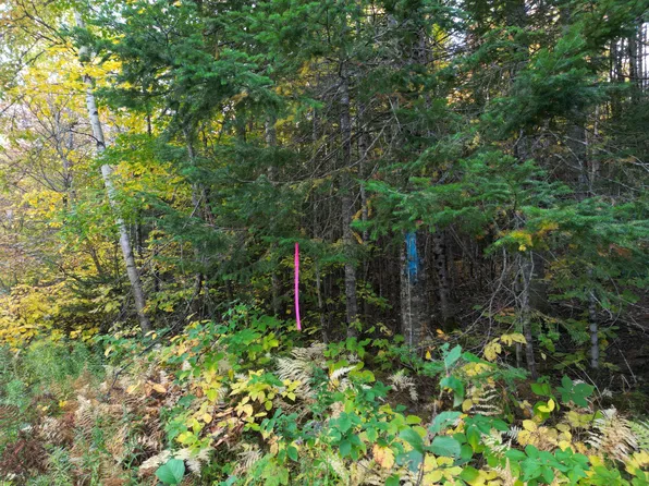 Lot 1-2 West Tucker Ridge Road, Springfield, ME 04487