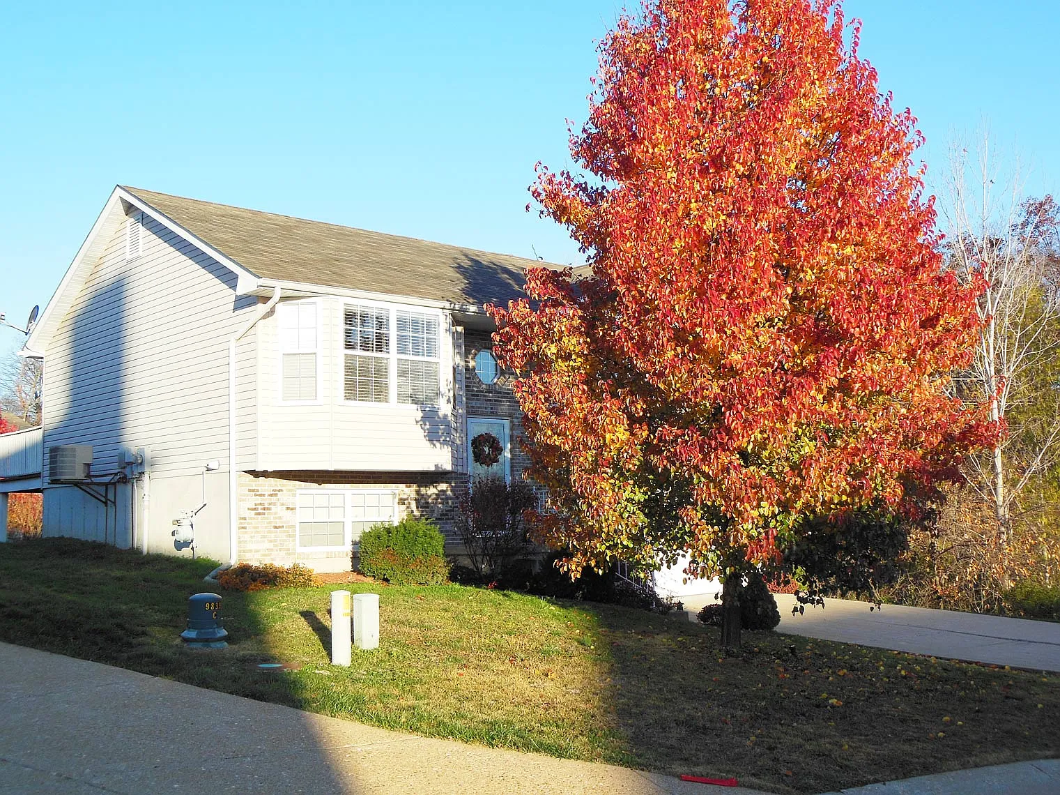 1000 Caleb Dr photo 1