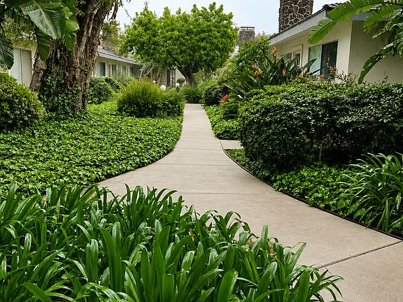 Hana Kiki walkway