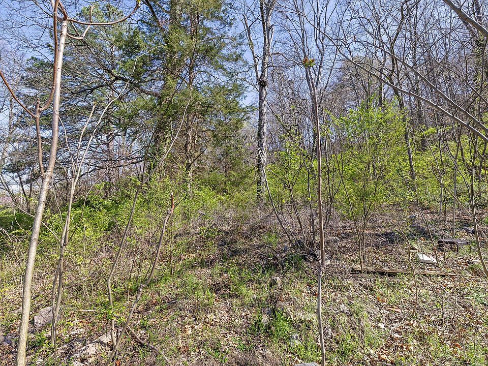 31st image of this home