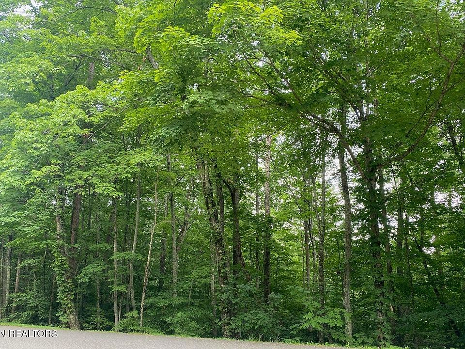 2nd image of 0 Cove Norris Rd