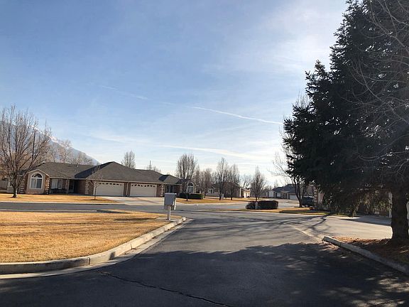 Mature trees beautiful views' yard maintenance