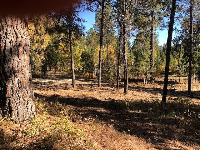 1st image of 12928 Dawn Dr