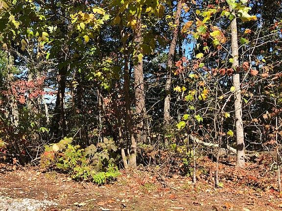 5th image of Scenic Woods Way